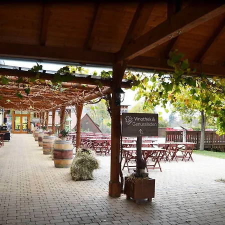 فندق Jufa Tieschen